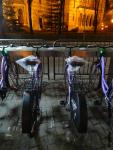 Imagine atasata: Statii Ratt - Inchirieri Biciclete - 2015.03.16 - 06.jpg